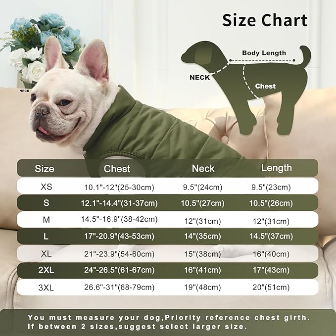 Fleece Lined Warm Dog Jacket for Winter Cold Weather,Soft Windproof Medium Dog Coat,Green XL