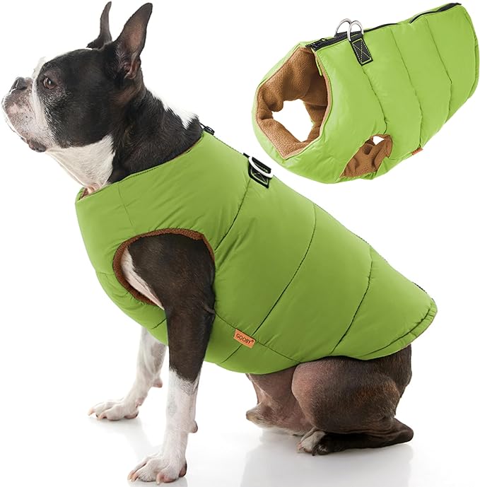 Gooby Padded Vest Dog Jacket - Solid Green, Large - Warm Zip Up Vest Fleece Jacket with Dual D Ring Leash Water Resistant for Small to Medium Dogs