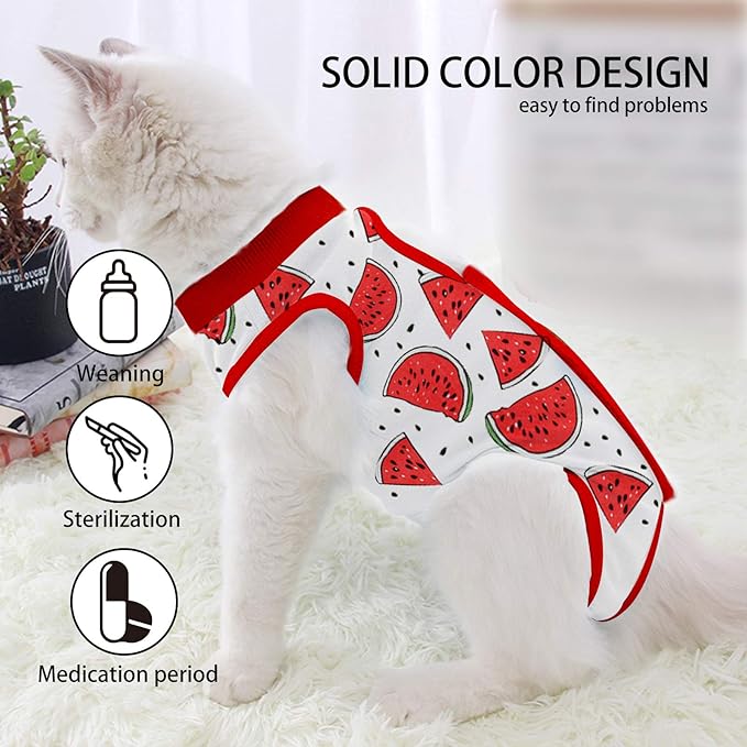 Cat Professional Surgical Recovery Suit,E-Collar Alternative for Cats Dogs,After Surgery Wear, Pajama Suit,Home Indoor Pets Clothing (M (6-8 1bs), Watermelon)