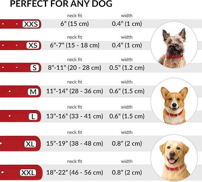 CollarDirect Rolled Leather Dog Collar, Soft Padded Round Puppy Collar, Handmade Genuine Leather Collar Dog Small Large Cat Collars 13 Colors (8-11 Inch, Red Smooth)