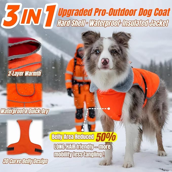 Insulated Outdoor Dog Winter Jacket, Hard Shell Pet Coat with 2 Layer Warmth, Waterproof & Lightweight Coats for Medium Dogs with Leash Portal, Durable 3D Belly Cut Jackets for Dachshund (Orange, M)