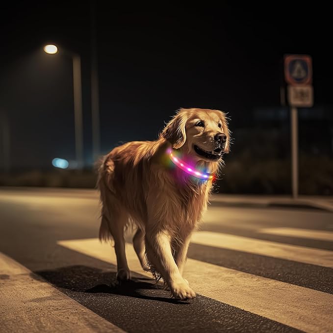LED Dog Collar, Light Up Dog Collar, USB Rechargeable - Brightest Dog Lights for Night Walking, 6 Light Modes, Adjustable for Dog Safety(Medium, Candy Pink)