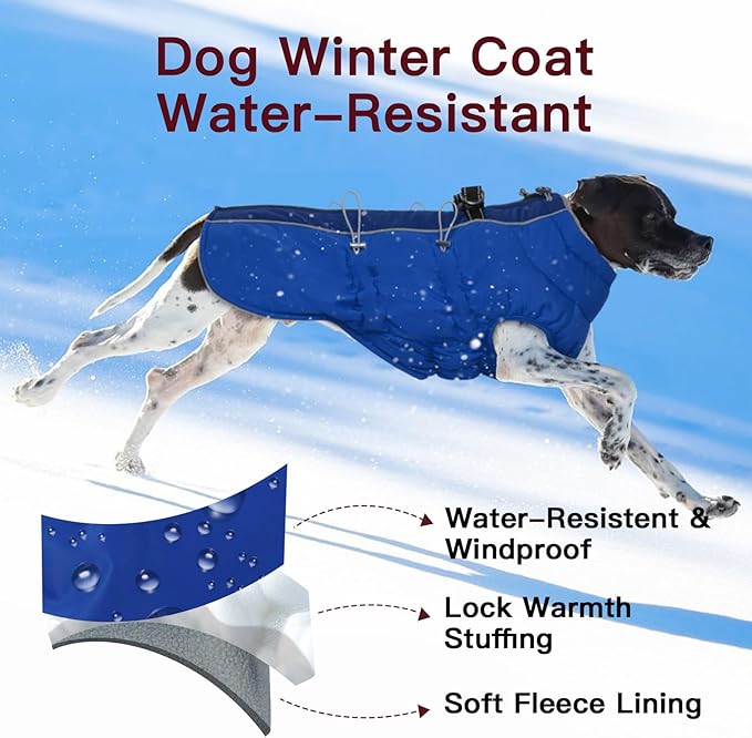Dog Coat - Warm Zip Up Snowsuit for Large Dogs, Reflective, Water-Resistant, Royal-Blue