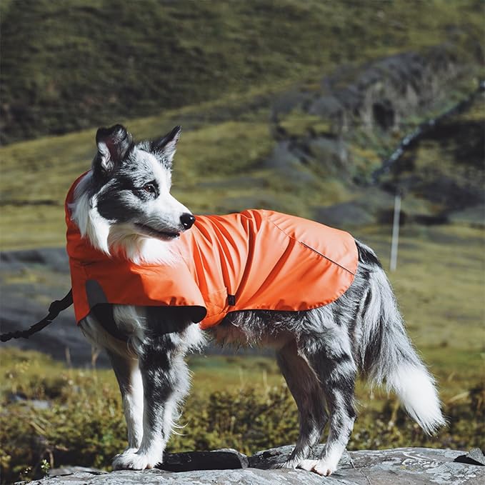 Dog Water-Repellent Raincoat Jacket, Lightweight Reflective Waterproof Clothes for Small Medium Large Dogs, Outdoor for Fall & Spring (Yellow, L)