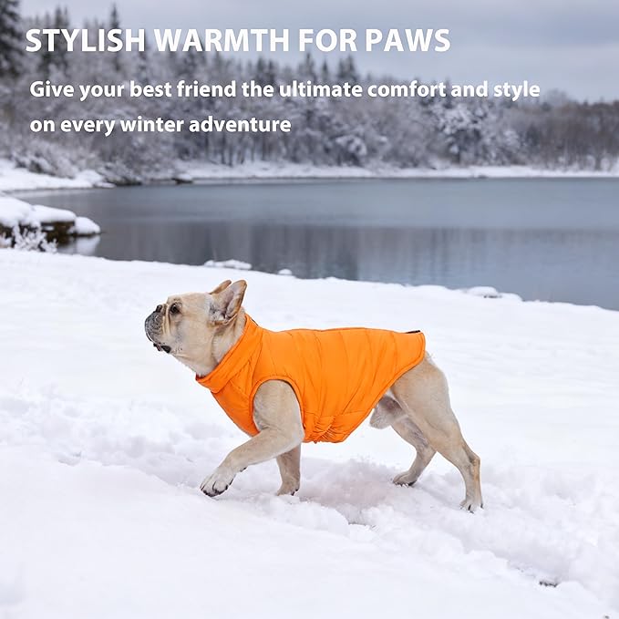 PUMYPOREITY Dog Puffer Coat with Detachable Scarf, Warm Padded Cold Weather Vest, Windproof Lightweight Snowsuit, Water Resistant Dog Winter Coats, Thermal Winter Jacket for Small Medium Large Dogs