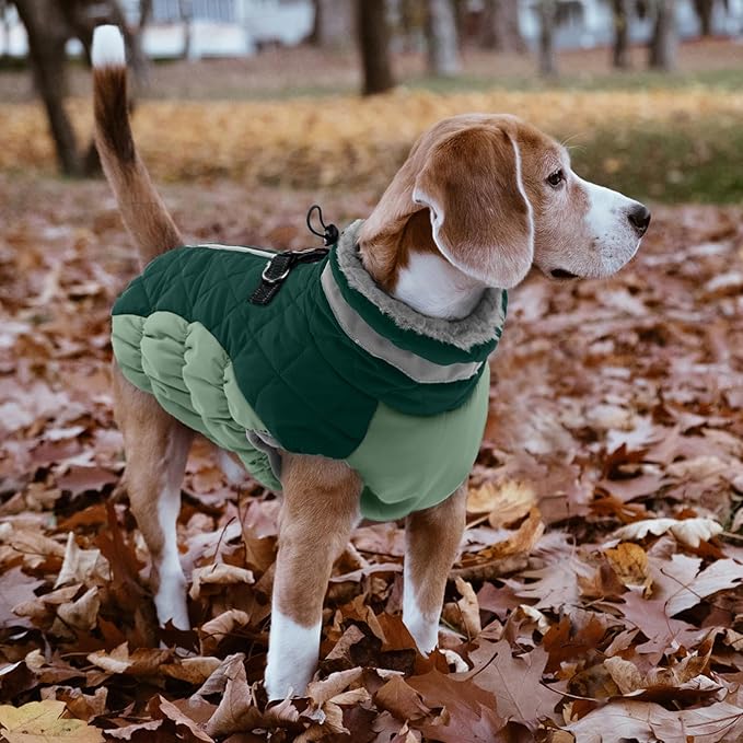 Lelepet Warm Dog Winter Coat Dog Coats for Large Dogs Waterproof Dogs Jacket with Harness Built in Reflective Cold Weather Coats Zip-Up Winter Fleece Vest Snowsuit Boston Terrier Teal Green L