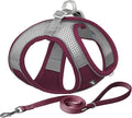 AIITLE Small Harness for Puppy with A Leash - Summer Dog Vest Harness with Super Breathable Mesh, Reflective No-Pull Pet Harness for Outdoor Walking, Camping for Small Dogs, Cats Burgundy XXS