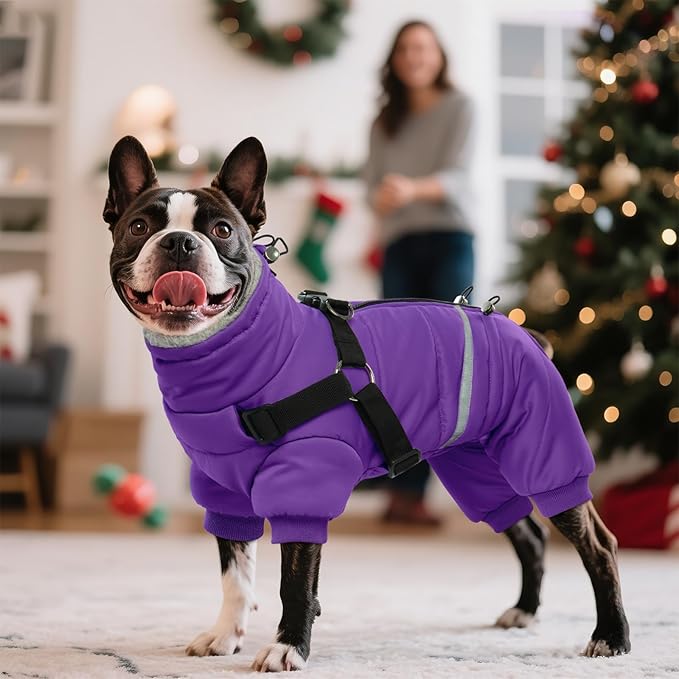BRKURLEG Purple Dog Coat with Harness, Dog Winter Jacket, Dogs Onesie Body Warm Jackets, Small Dogs Winter Coats Reflective Windproof Warm Cold Weather Coats, Pet Waterproof Jackets, M