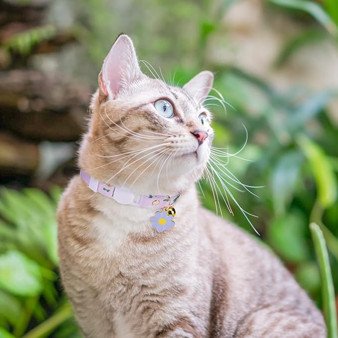 3 Pack Breakaway Cat Collars with Bell- Daisy Pendant Spring Cat Collar for Girl Boy Cats with Safety Buckle- Cute Kitten Collar Adjustable 8"-12" for Kitty Puppy Small Pets