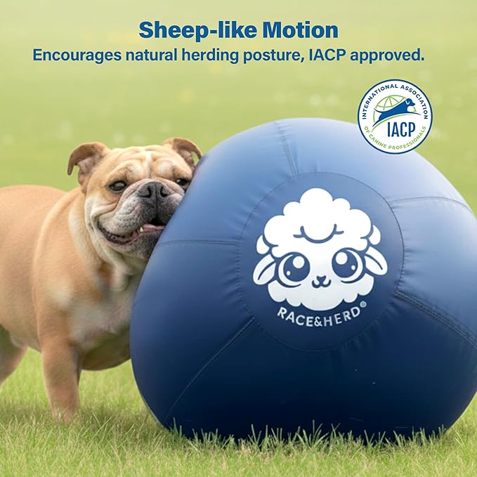 Race&Herd 22" Original XXL Herding Ball for Dogs - Giant Herding Dog Ball Australian Shepherds, Herding Toys, Dog Training Toy for Large Breeds, Dog Toy for Outdoor Play (Small/Medium Dogs, Yellow)