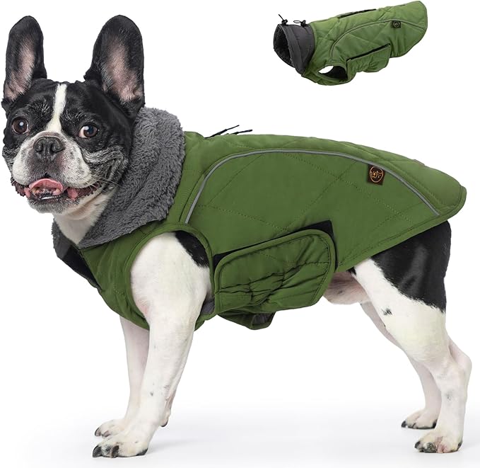 EMUST Winter Dog Coats, Fleece Pet Apparel for Cold Weather, British Style Windproof Warm Dog Jacket for Winter, Green, XS