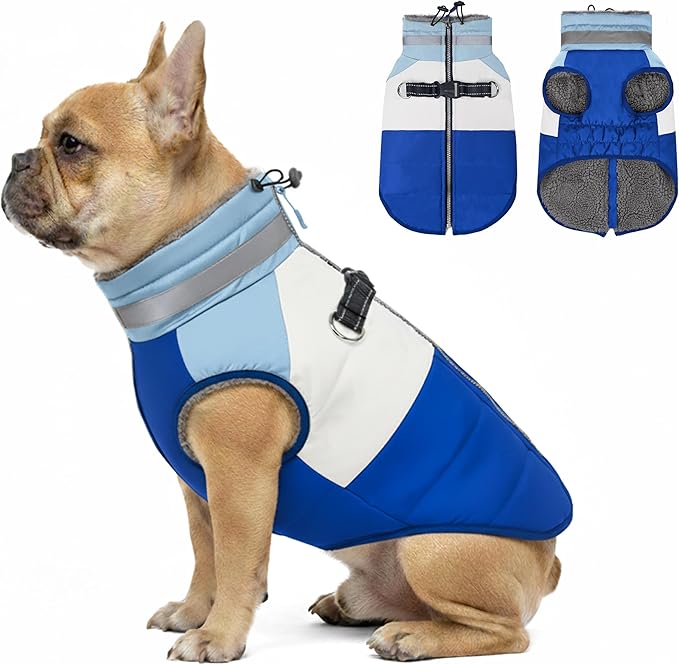 azuza Dog Jacket for Small Dogs Waterproof Dog Coat with Reflective Strips and Harness Built in Warm Fleece Dogs Winter Coat Windproof with Back Zipper, Blue M