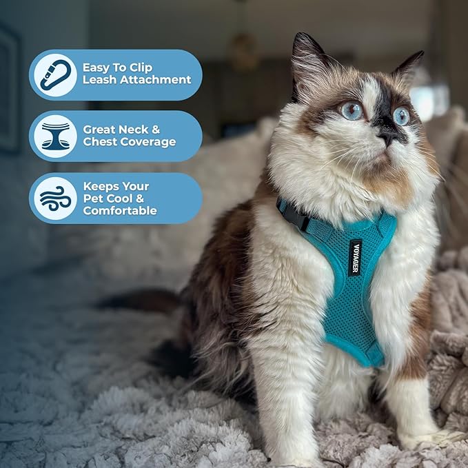 Voyager Step-in Lock Adjustable Cat Harness w. Cat Leash Combo Set with Neoprene Handle 5ft - Supports Small, Medium and Large Breed Cats by Best Pet Supplies - Turquoise, XXS