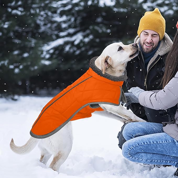 Fragralley Dog Coat Large, Waterproof Dog Jacket with Warm Fleece Lining, Adjustable Reflective Dogs Winter Coat, Turtleneck Pet Coats for Cold Weather (Orange L)