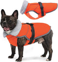 Lelepet Warm Dog Winter Coat Reflective Dog Jacket Fleece Vest Waterproof Windproof Cold Weather Coats with Adjustable Buckle Plush Turtleneck Pet Snowsuit for Small Medium Large Dogs,Bichon,M