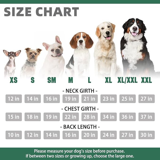 KOOLTAIL Basic Dog Hoodie - Soft & Warm Pet Hoodie Sweater with Leash Hole and Pocket, Dog Winter Coat, Cold Weather Clothes Sweatshirt for Small Medium Large Dogs Puppy Cat Boys Girls Green XL/XXL