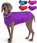 Doglay Dog Winter Coat, Waterproof Dog Jacket with Pocket, Reflective Turtleneck Pet Winter Jackets, Warm Puppy Snow Jacket for Small Medium Large Dogs