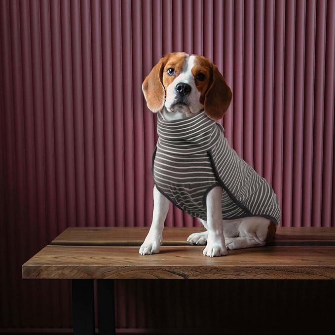 ROZKITCH Dog Winter Coat Soft Pullover Pajamas, Stripe Pet Windproof Warm Cold Weather Jacket Vest Cozy Jumpsuit Apparel Outfit Clothes for Walking Hiking Travel Sleep Stripe M
