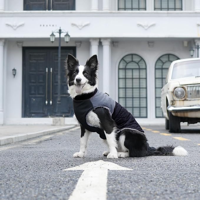 Warm Fleece Dog Coats for Small Dogs,D-Rings Waterproof Puppy Jacket for Cold Winter,Black S