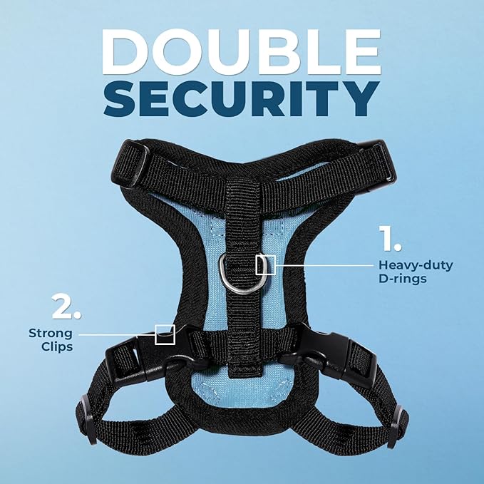 Voyager Step-in Lock Adjustable Cat Harness w. Cat Leash Combo Set with Neoprene Handle 5ft - Supports Small, Medium and Large Breed Cats by Best Pet Supplies - Baby Blue/Black Trim, XXXS
