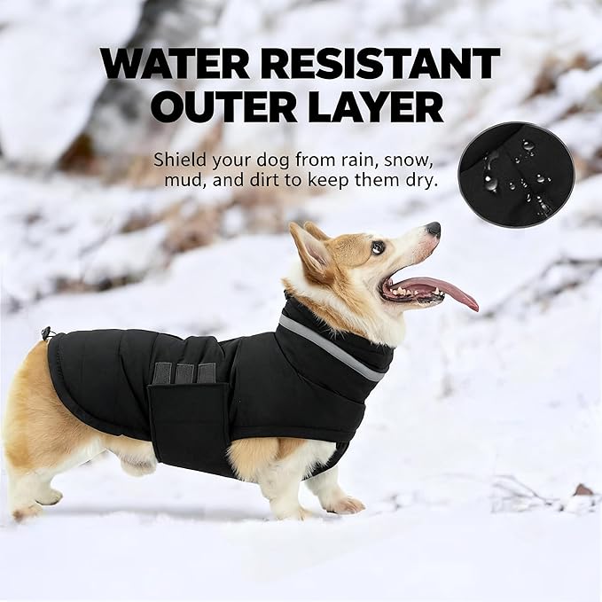 Dog Coat, Waterproof Winter Jacket, Warm Windproof Jacket, Reflective Adjustable Turtleneck Coats for Medium Dogs with Hook & Loop - Black - M