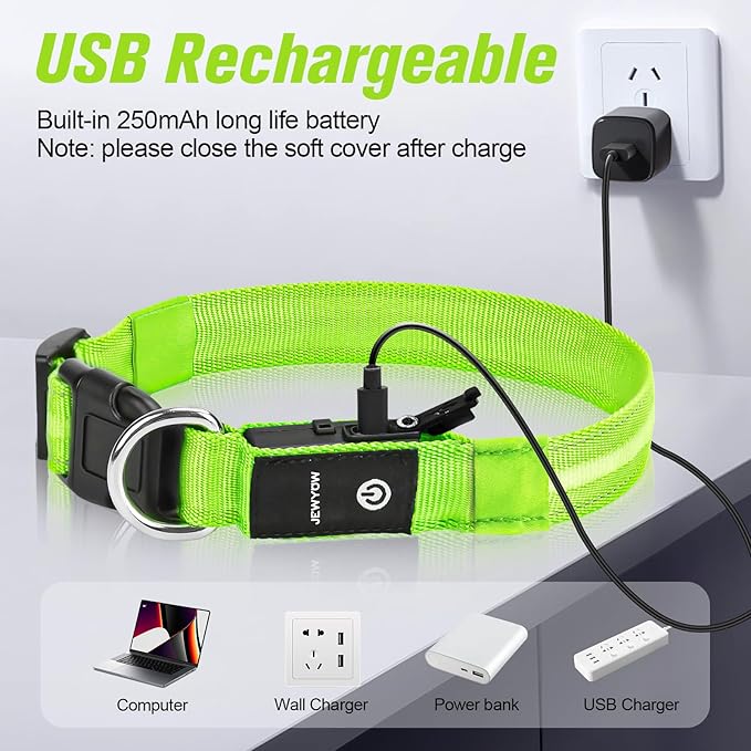 LED Dog Collar, Light Up Dog Collar, USB Rechargeable - Brightest Dog Lights for Night Walking, 6 Light Modes, Adjustable for Dog Safety(Small, Neon Green)