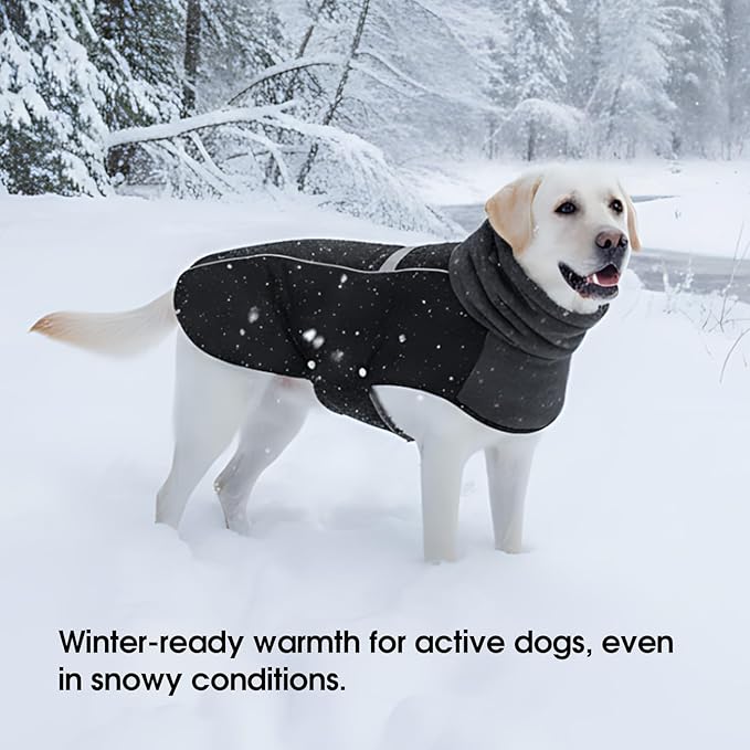 ASENKU Dog Coat, Dog Winter Jackets with Fleece Turtleneck, Windproof, Reflective Pet Snow Jacket Doggie Vest for Cold Weather, Coats for Medium Dogs, Black, M