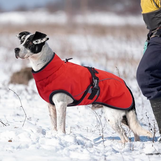 Warm Dog Coat for Winter,Waterproof Jacket with Zipper,Detachable Dog Coat with Adjustable Buckle,Comfortable Jacket for Dogs in Cold and Windy Days.M Red