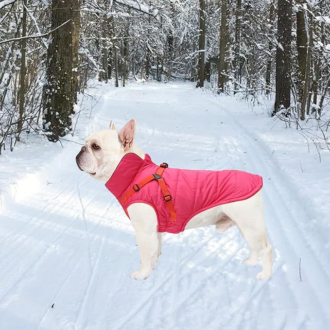 Geyecete Winter Warm Coat Waterproof Dog Winter Jacket with Harness Traction Belt,Windproof Pet Outdoor Jacket Dog Autumn-Pink-S