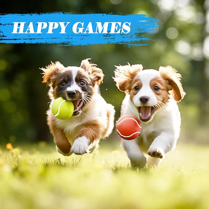 30 Pcs Tennis Balls for Dogs 2.5 Inch Pet Playing Ball Mini Training Dog Balls High Elasticity Practice Puppy Ball for Large Dog, Medium Small Dogs, 15 Colors