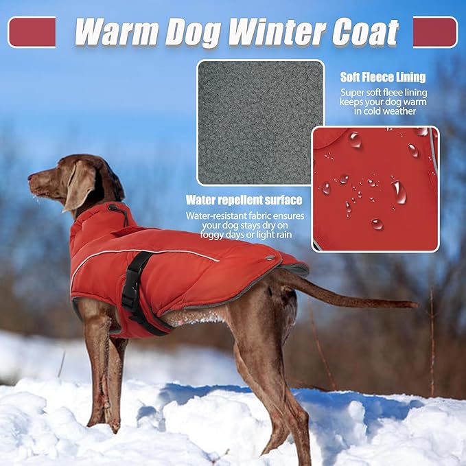 DENTRUN Small Dog Winter Warm Coat - Windproof Cozy Jacket, Thick Fleece Vest with Adjustable Belt, Water Repellent, Reflective Dog Sweater for Yorkie Dachshund Wear, Red, S