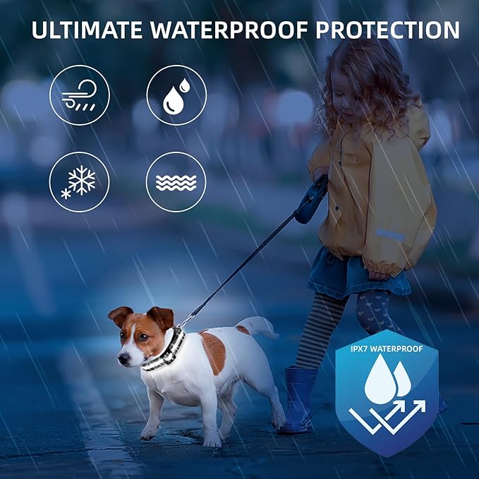 Super Bright LED Dog Collar - Fully Waterproof & Adjustable Glow Collar - USB-C Rechargeable for Night Walking, Safety - Flashing Lighted Collar for Dogs(White,Medium)