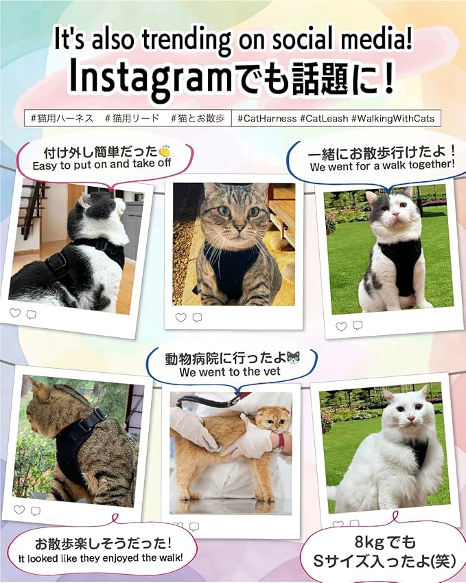 Cat Harness Escape Proof with Leash for Walking, Travel Vest Soft Chest Support, Adjustable Size, Escape Proof Soft Adjustable Vest Harnesses, Breathable, Kittens, Small Dogs (美/背縄/紅1/S)