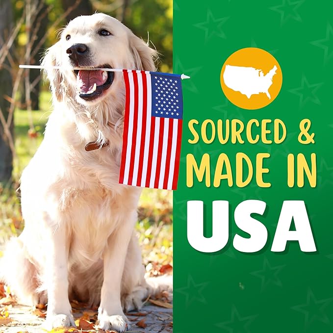 Chicken & Apple Chips Dog Treats – Made in USA, 100% Chicken Jerky, Grain-Free, High Protein, Single Ingredient, Crispy & Healthy Training Snacks for Dogs – 6 oz Jar