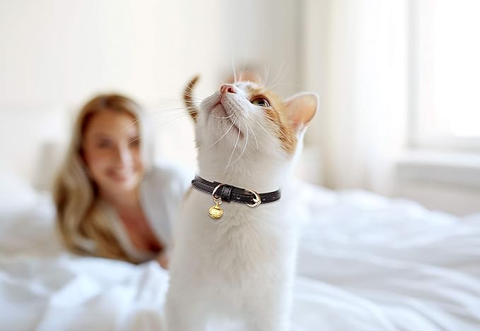 3 Pack Leather Cat Collars with Bells Soft Pet Safety Collar Kitten Collars with Bell Black Chocolate Beige(XS)