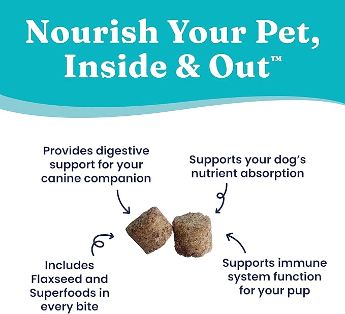 Solid Gold Healthy Dog Treats - Functional Pumpkin Dog Teats w/Flaxseed & Gentle Superfoods for Gut Health & Digestion - Gluten Free Healthy Training Treat for Dogs of All Ages & Sizes - 5.2 oz