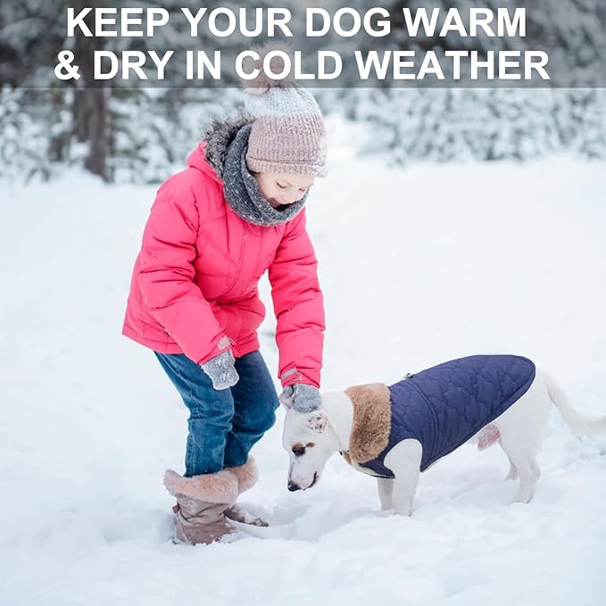 BEAUTYZOO Winter Dog Coat with Harness Built in, Warm Dog Puffer Jacket Vest Padded Fleece Cold Weather Coats Windproof Waterproof Snow Jackets Clothes for Small Medium Puppy, Blue L