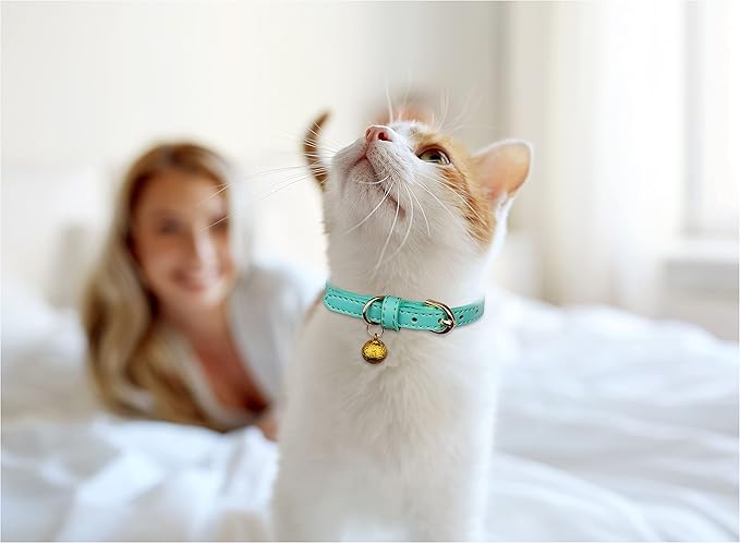 3 Pack Leather Cat Collars with Bells Soft Pet Safety Collar Kitten Collars with Bell Orange Yellow Mint Green(XS)