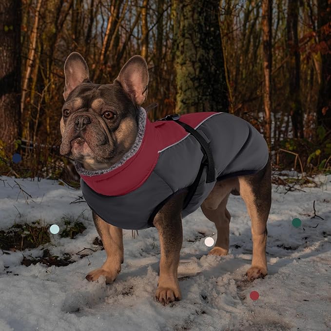 IECOii Dog Coat for Large Dogs, Reflective & Adjustable Turtleneck Jacket with Buckle, Thermal Fleece Lined Dog Snowsuit for Cold Weather - Soft Dogs Winter Coat Windproof Warm Vest, Burgundy, L
