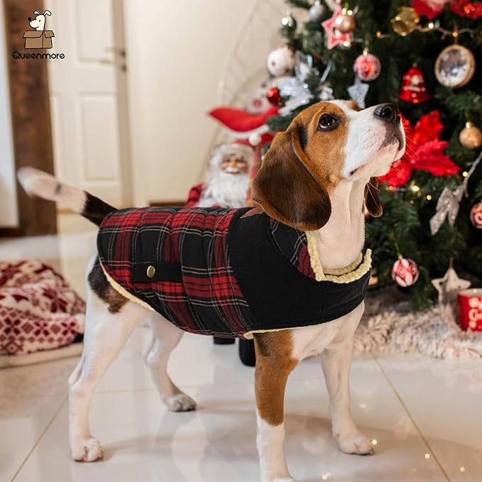 Queenmore Dog Winter Coat Warm Dog Jacket for Cold Weather, Quilting Puffer Plaid Coats for Small/Medium Dogs Waterproof,Girl/Boy Pet Christmas Coat,Pet Snowsuit with Leash Hole/Fleece Padding, L