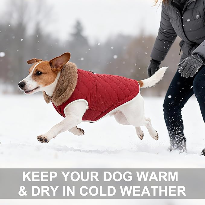 BEAUTYZOO Winter Dog Vest Coat with Harness Built in, Warm Puppy Jacket for Small Medium Dogs, Lightweight Cold Weather Small Dog Coat, Fleece Puffer Vest Windproof Snowproof Pet Clothes, Wine Red L