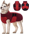 Kuoser Dog Jacket, Warm Dog Coats for Small Dogs, Reflective Doggie Winter Jacket Cold Weather Pet Coats with Leash Hole, Winter Coat Apparel for Yorkie Chihuahua, Red XS