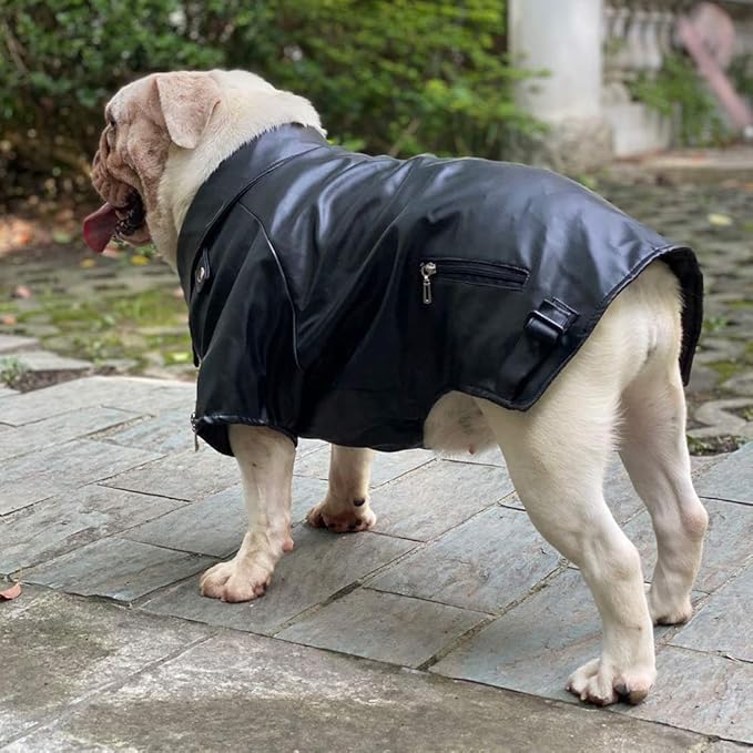 Lovelonglong Cool Dog Leather Jacket, Warm Coats Dogs Windproof Cold Weather Coats for Pugs Bulldog Pitbull Black B-S