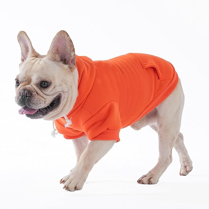 KOOLTAIL Fall Dog Hoodie - Soft & Warm Dog Thanksgiving Sweater with Leash Hole and Pocket, Pet Winter Coat, Cold Weather Clothes Sweatshirt for Small Medium Large Dogs Puppy Cat Boys Girls, Orange XL