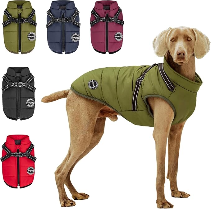 Warm Dog Winter Coat, Fashion Pet Cold Weather Jacket with Built-in Harness, Reflective & Adjustable Comfortable Pet Vest, Windproof Apparel for Small Medium Large Dogs (Green)