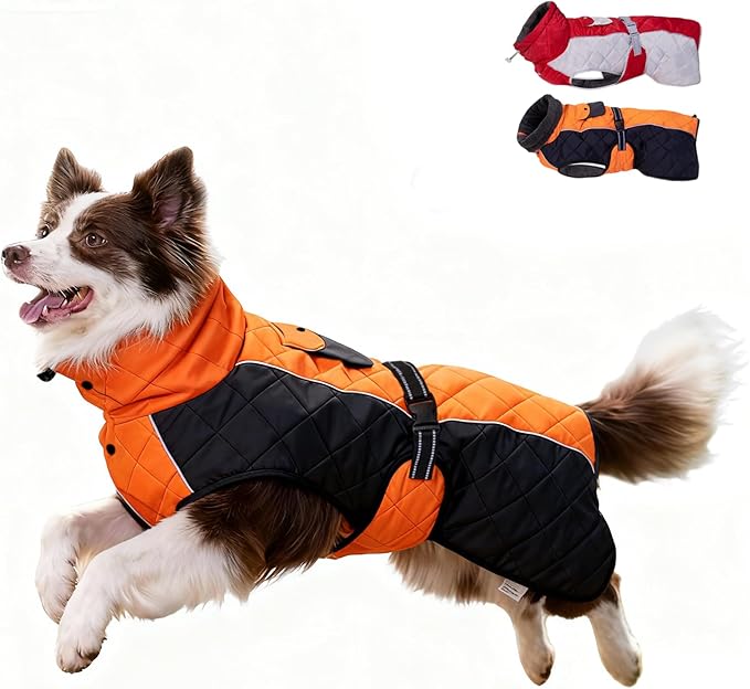 Dog Coat Dogs Winter Coat- Fleece Lined,Water-Resistant,Convertible Collar,Back Reflective Strip&Easy to Wear for Outdoor Walking Dog-Jacket(Orange, Medium)