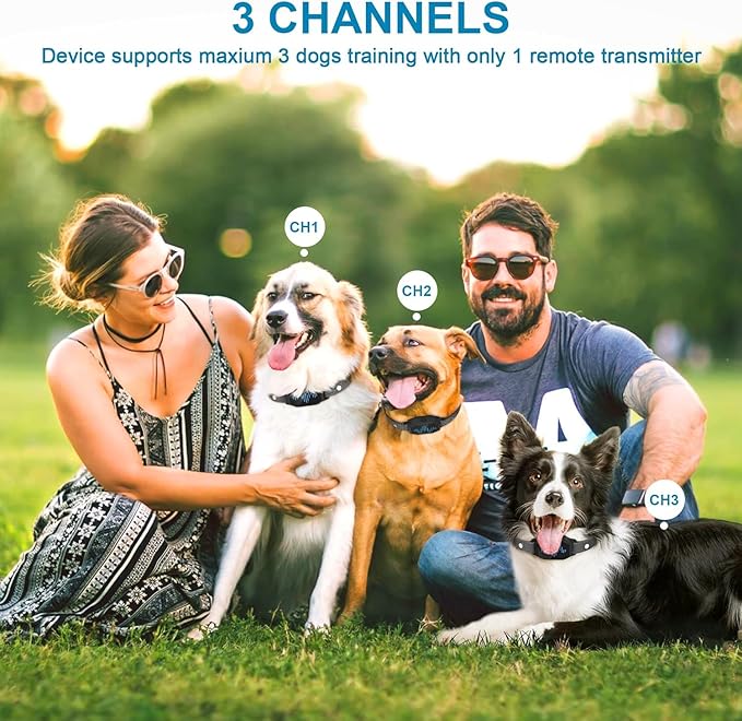Dog Training Collar with Remote Control 2 Pack, 2500ft Control Range, 4 Training Modes, IP67 Waterproof E Collar for All Breeds, Small Medium Large Dogs