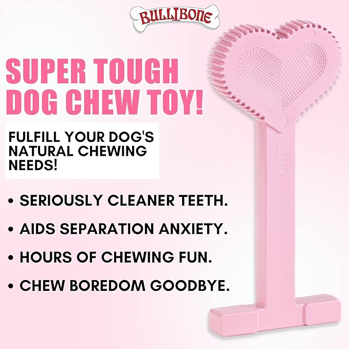 Bullibone Nylon Dog Chew Toy Nylon Bone - Improves Dental Hygiene, Easy to Grip Bottom, and Permeated with Flavor (Peppermint, Small - 3 Pack)