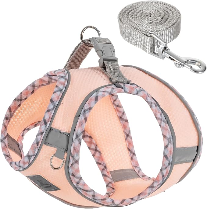 Dog Harness & Leash Set - No Pull Soft Breathable Small Dog Harness, Adjustable Reflective Step-in Vest for Puppy, Kitten, Cats