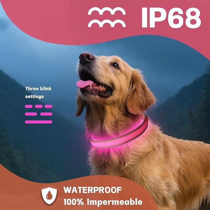 DOGWONG LED Dog Collar - Heavy Duty Light up Collars - Rechargeable Waterproof - Lighted Dog Collar for Night Walking, Hiking, Camping(Pink,S)